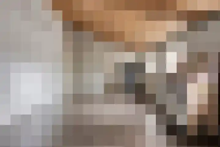 Lamperen 16 Wanroij thumbnail 37