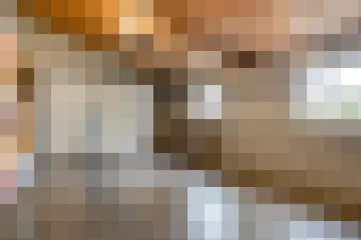Lamperen 16 Wanroij thumbnail 41