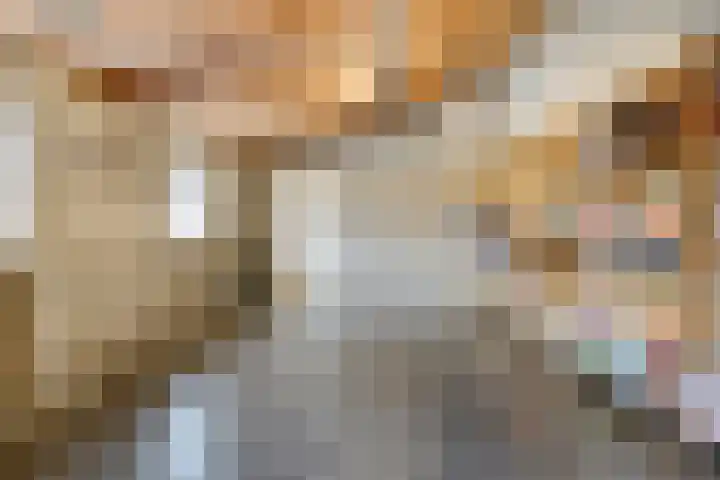 Lamperen 16 Wanroij thumbnail 42