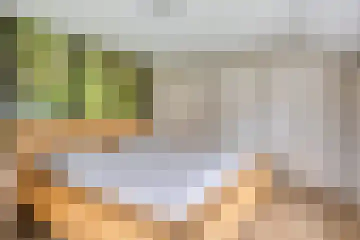 Lamperen 16 Wanroij thumbnail 45