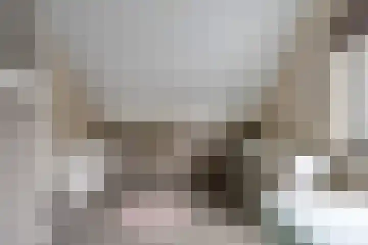 Lamperen 16 Wanroij thumbnail 50
