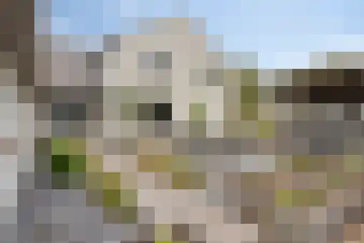 Lamperen 16 Wanroij thumbnail 54