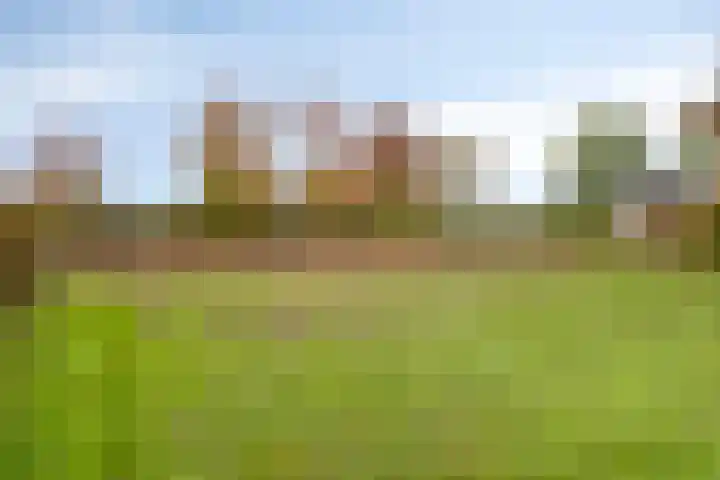 Lamperen 16 Wanroij thumbnail 65