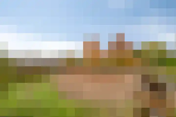 Lamperen 16 Wanroij thumbnail 67