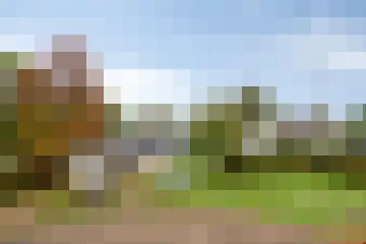 Lamperen 16 Wanroij thumbnail 68