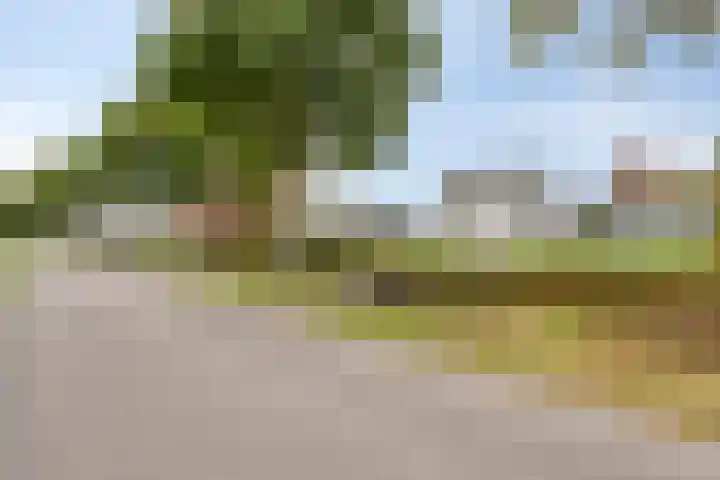 Lamperen 16 Wanroij thumbnail 7