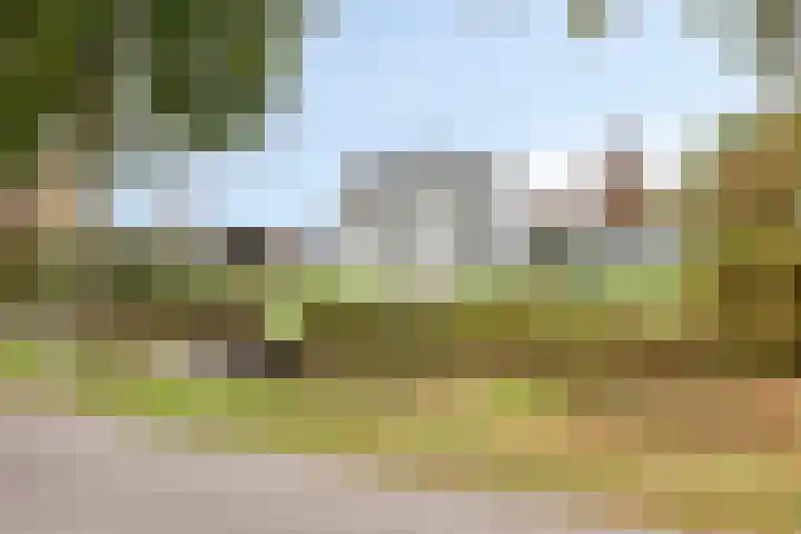 Lamperen 16 Wanroij thumbnail 8