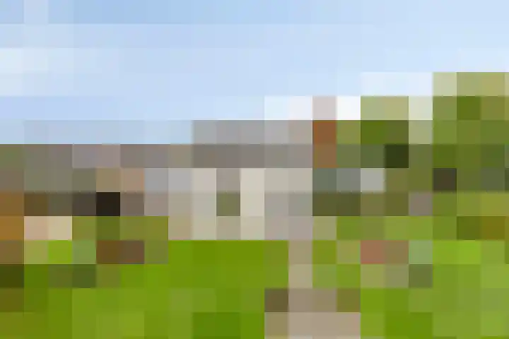 Lamperen 16 Wanroij thumbnail 9