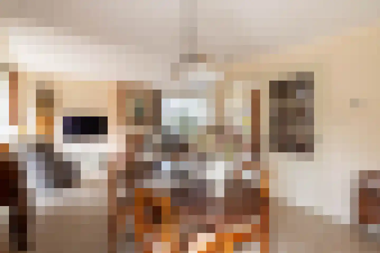 Lampertheimstraat 23 Wierden thumbnail 11