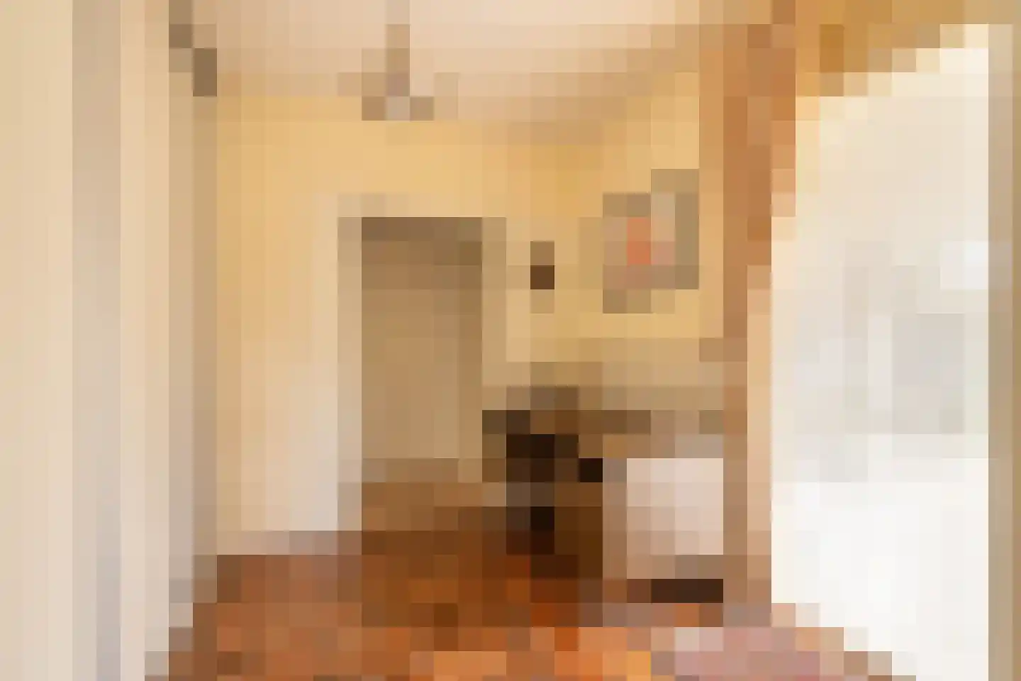 Lampertheimstraat 23 Wierden thumbnail 13