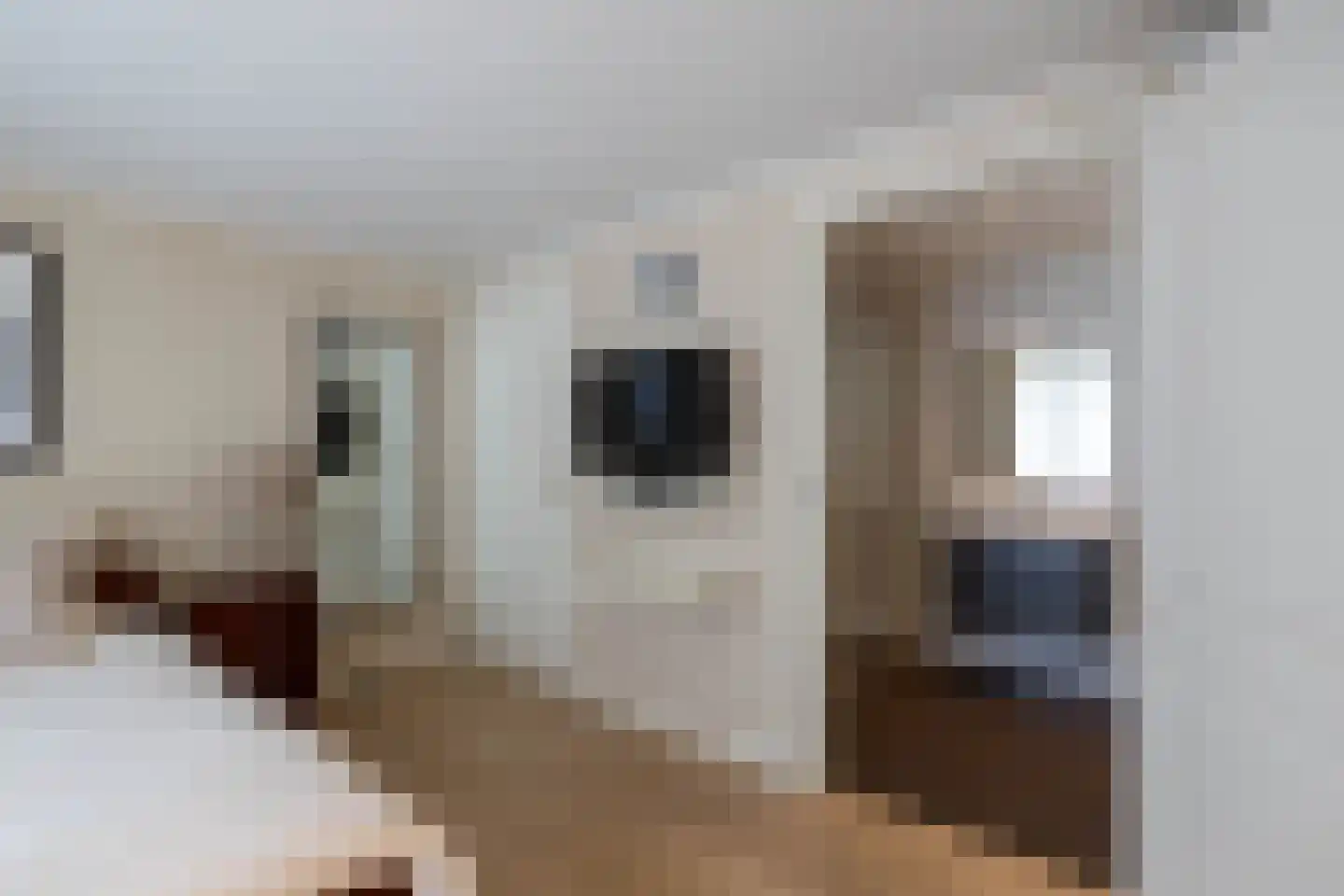 Lampertheimstraat 23 Wierden thumbnail 16