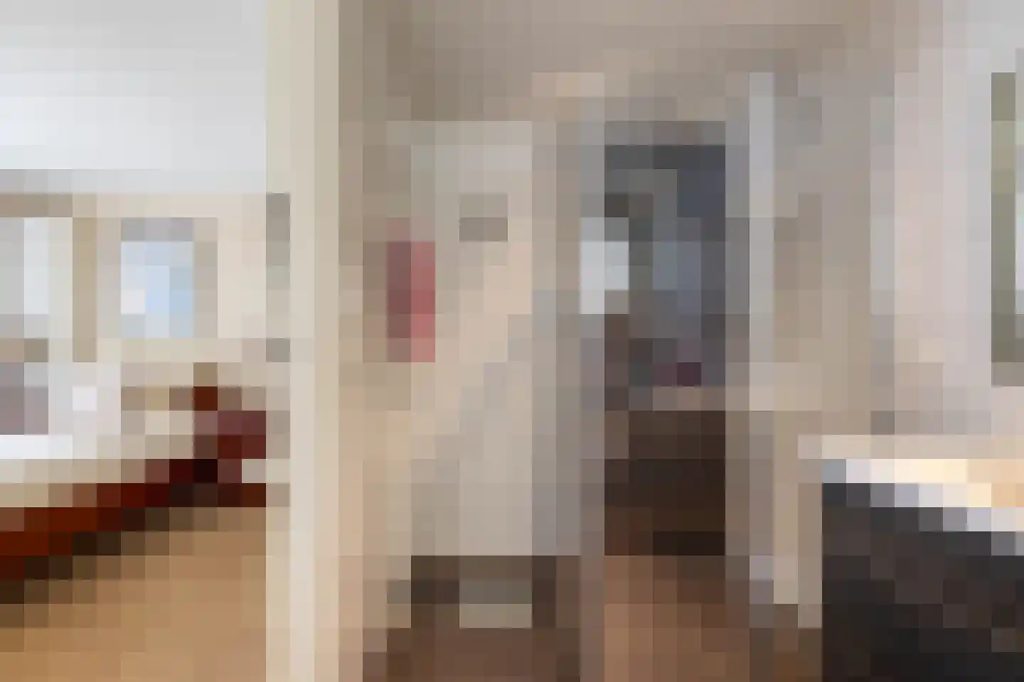 Lampertheimstraat 23 Wierden thumbnail 18