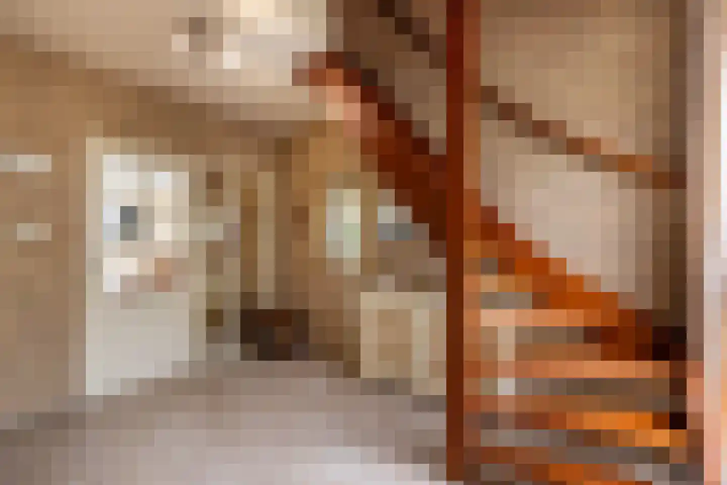 Lampertheimstraat 23 Wierden thumbnail 19