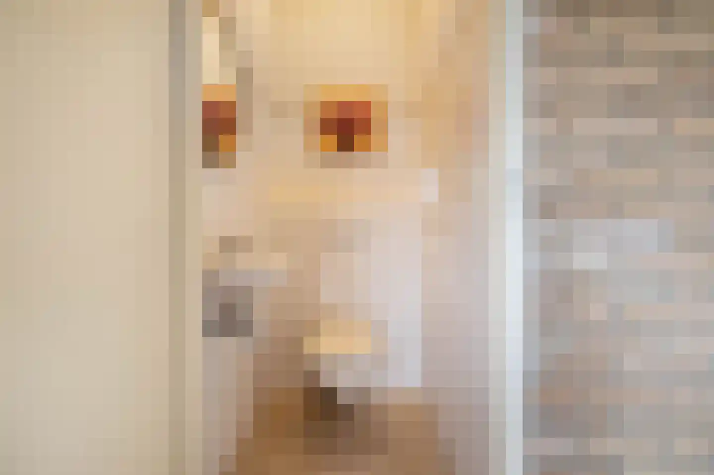 Lampertheimstraat 23 Wierden thumbnail 20