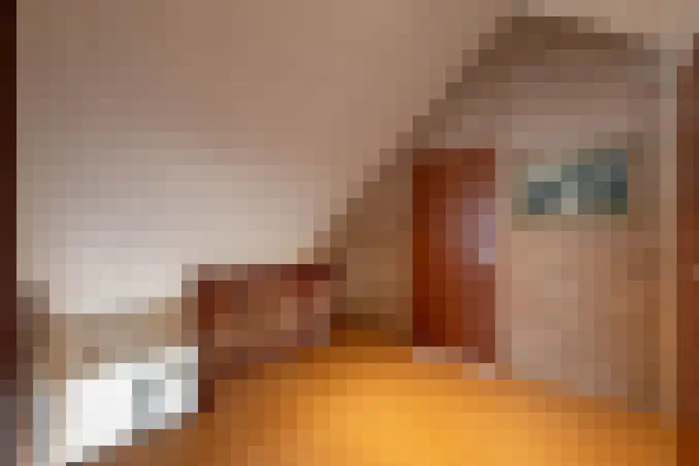 Lampertheimstraat 23 Wierden thumbnail 25
