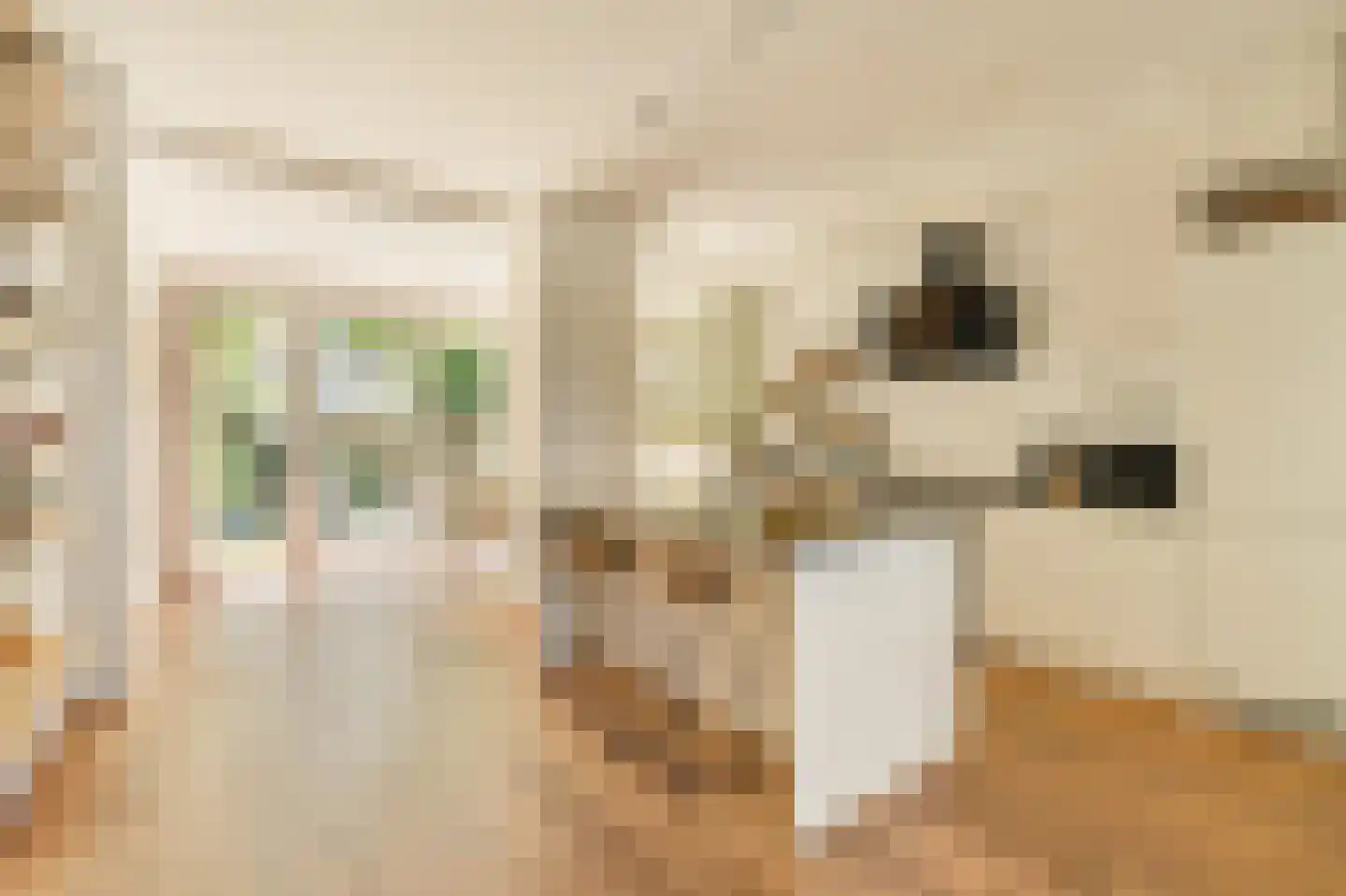Lampongstraat 12 2 Amsterdam foto 3