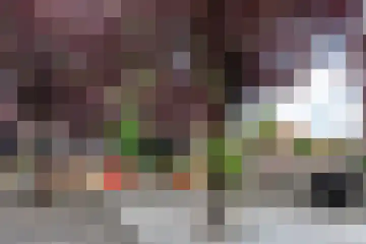 Lampongstraat 4 1 Amsterdam thumbnail 34