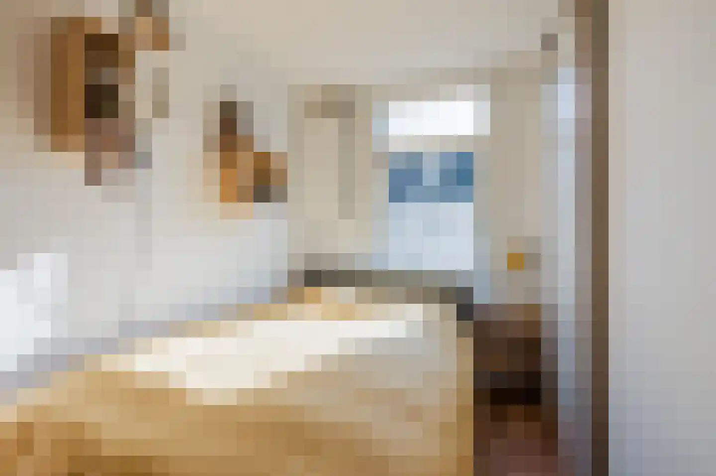 Lampongstraat 8 1 Amsterdam thumbnail 18