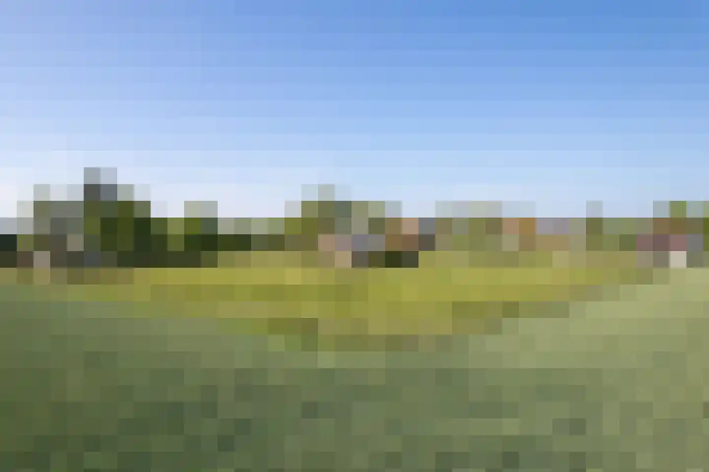 Lampsinsdijk 1 Nieuwvliet thumbnail 10