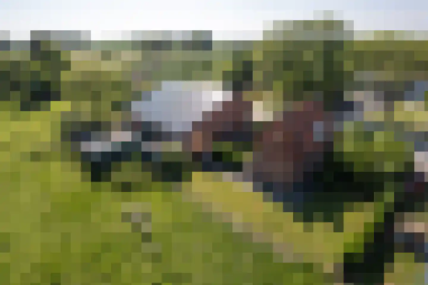Lampsinsdijk 1 Nieuwvliet thumbnail 11