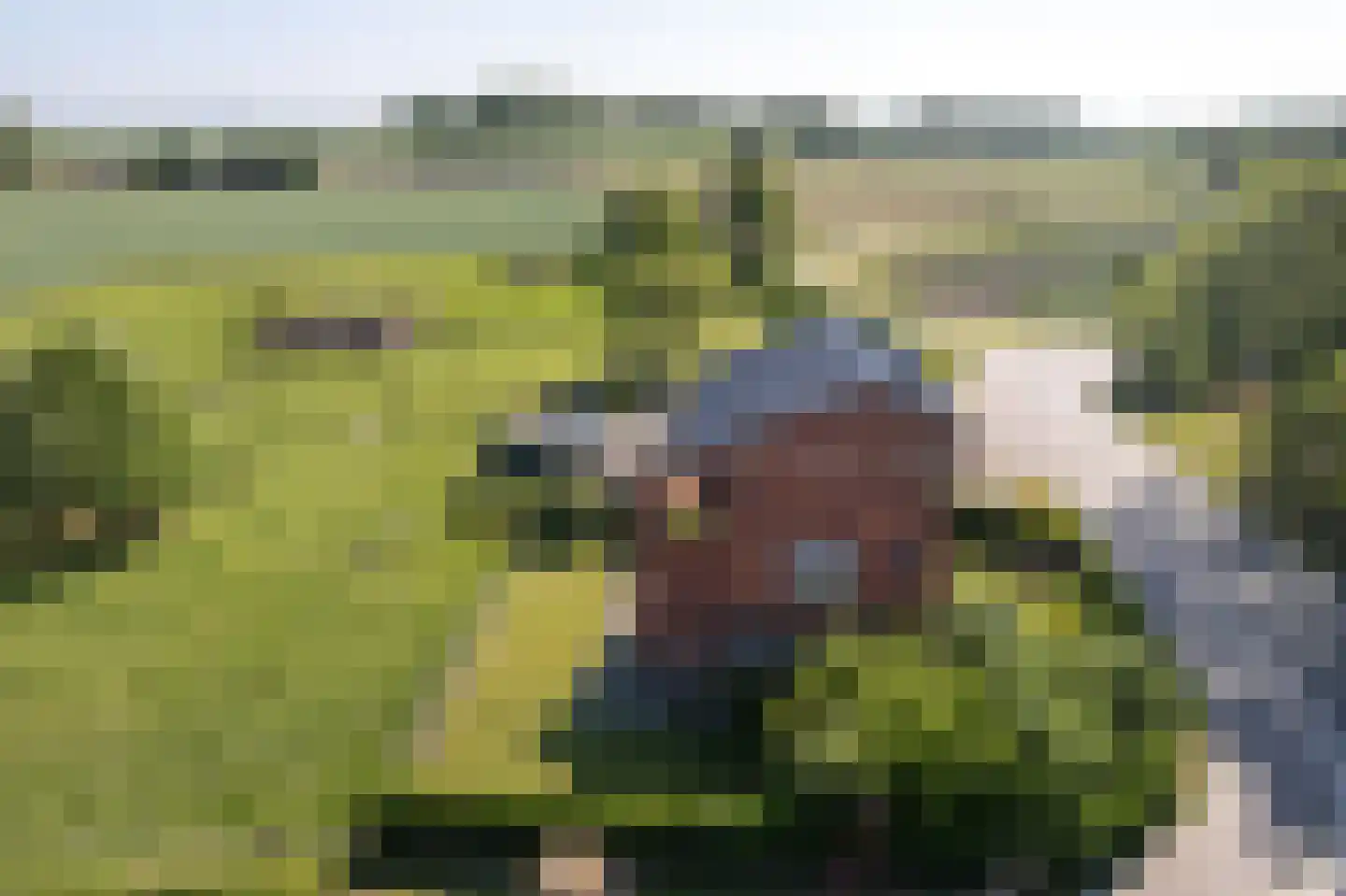 Lampsinsdijk 1 Nieuwvliet thumbnail 12