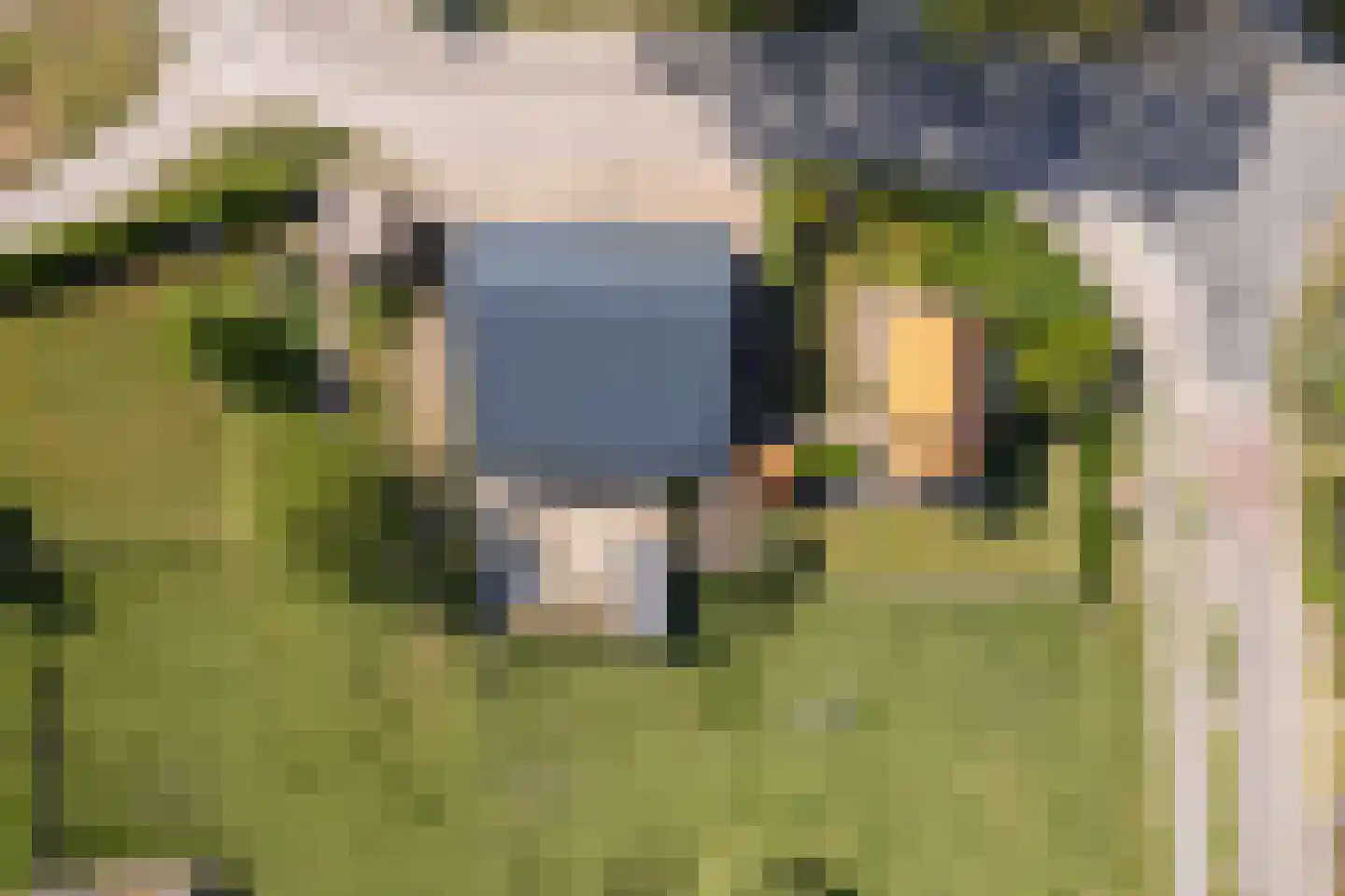 Lampsinsdijk 1 Nieuwvliet thumbnail 13