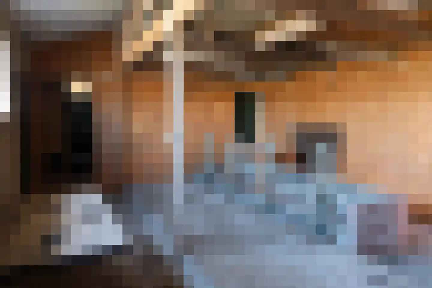 Lampsinsdijk 1 Nieuwvliet thumbnail 15