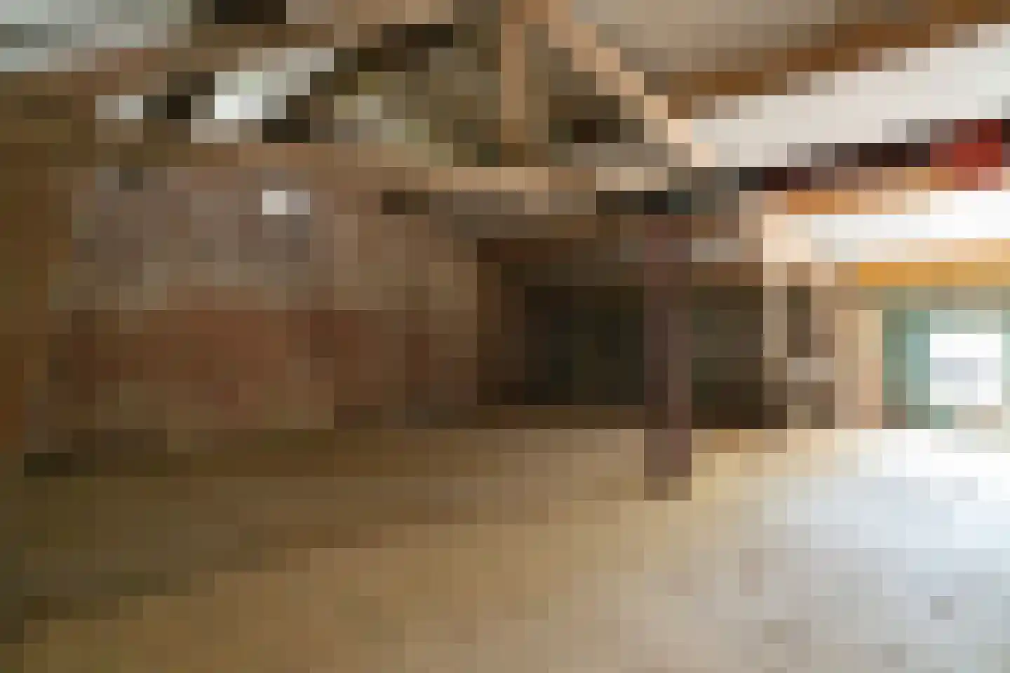 Lampsinsdijk 1 Nieuwvliet thumbnail 17