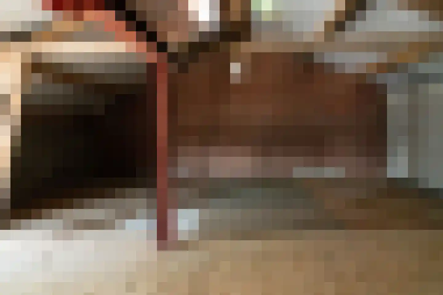 Lampsinsdijk 1 Nieuwvliet thumbnail 18