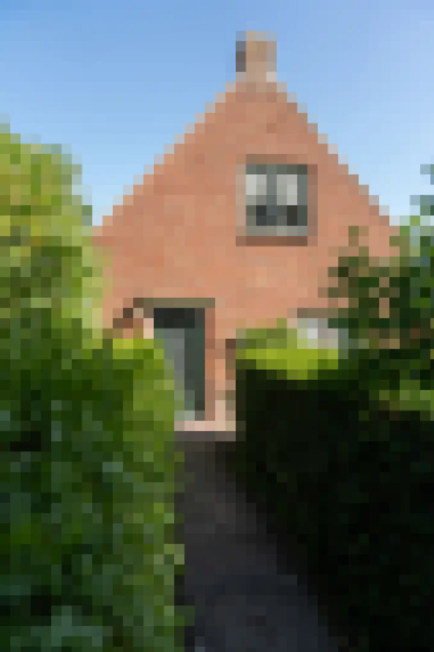 Lampsinsdijk 1 Nieuwvliet thumbnail 24