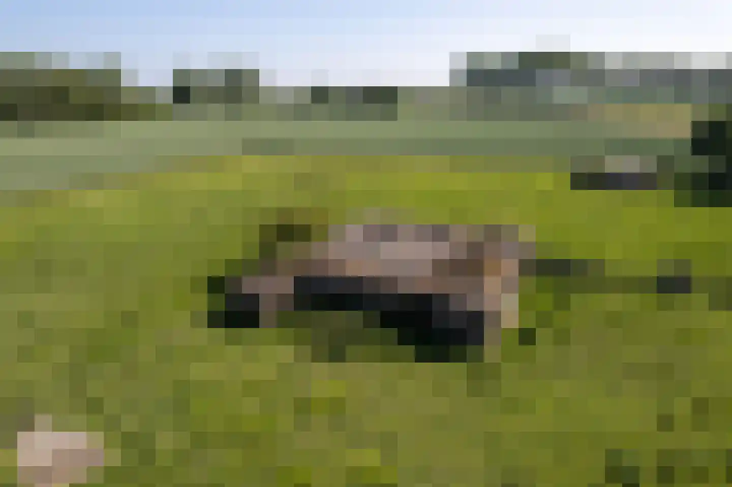 Lampsinsdijk 1 Nieuwvliet thumbnail 26