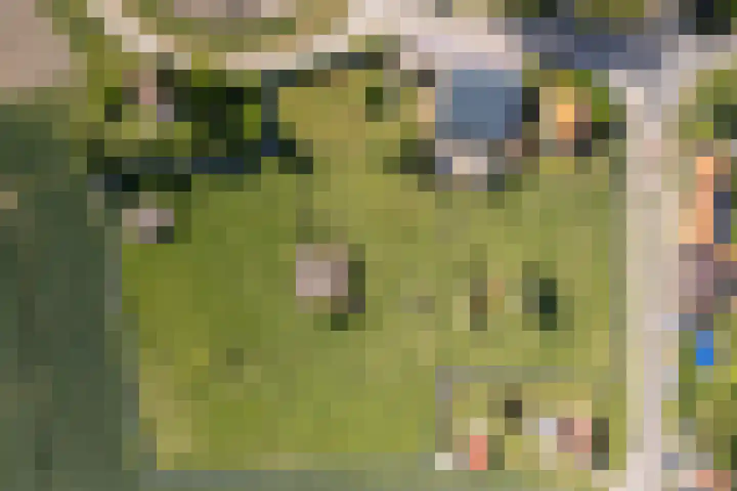 Lampsinsdijk 1 Nieuwvliet thumbnail 5