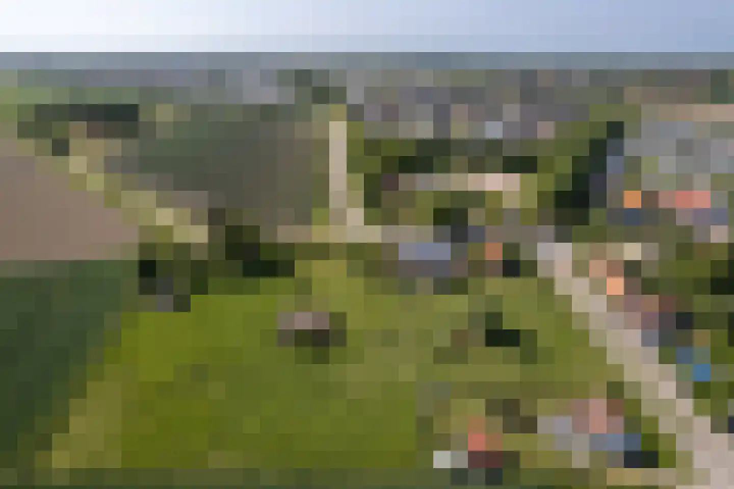 Lampsinsdijk 1 Nieuwvliet thumbnail 6