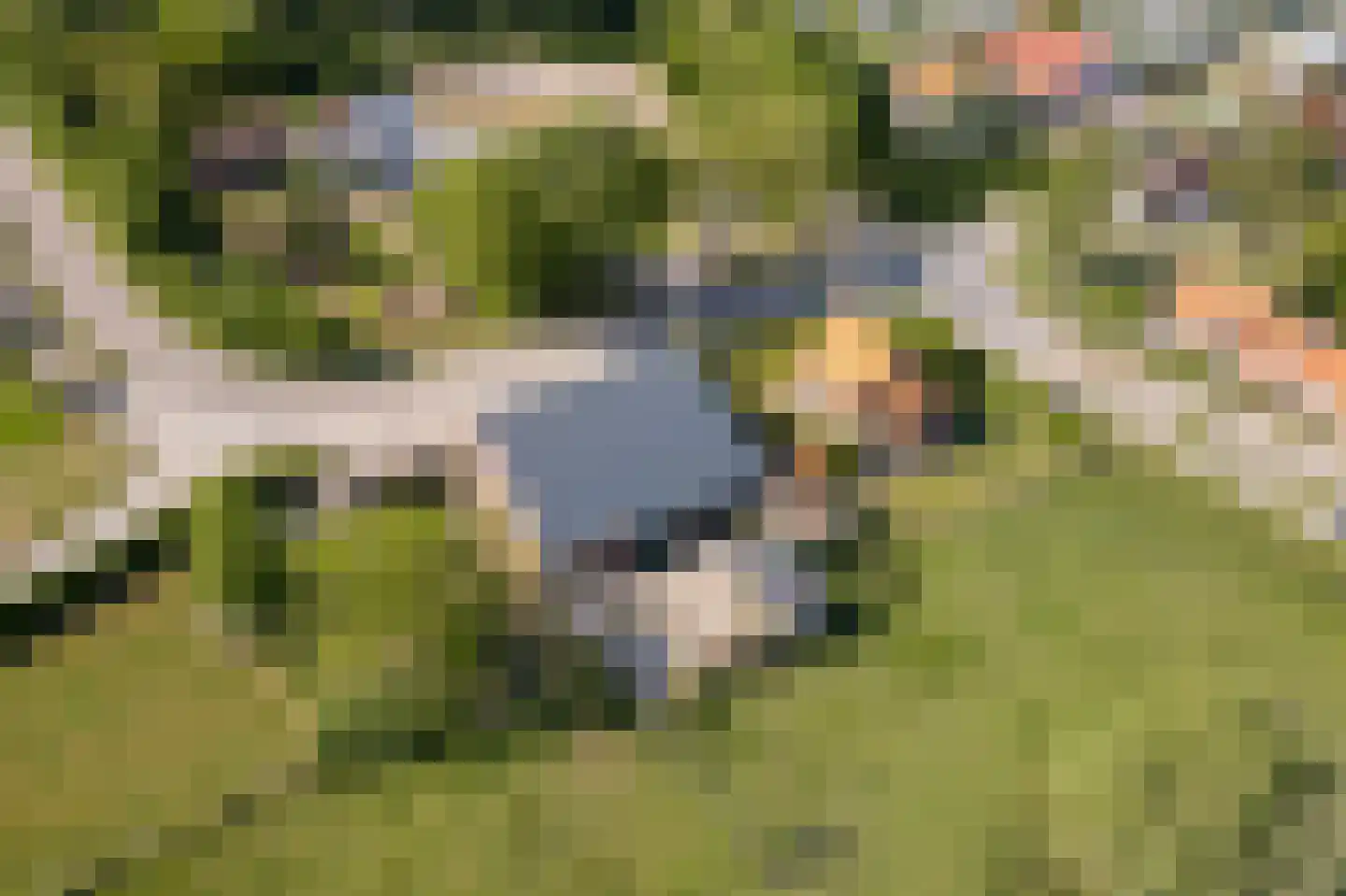 Lampsinsdijk 1 Nieuwvliet thumbnail 7
