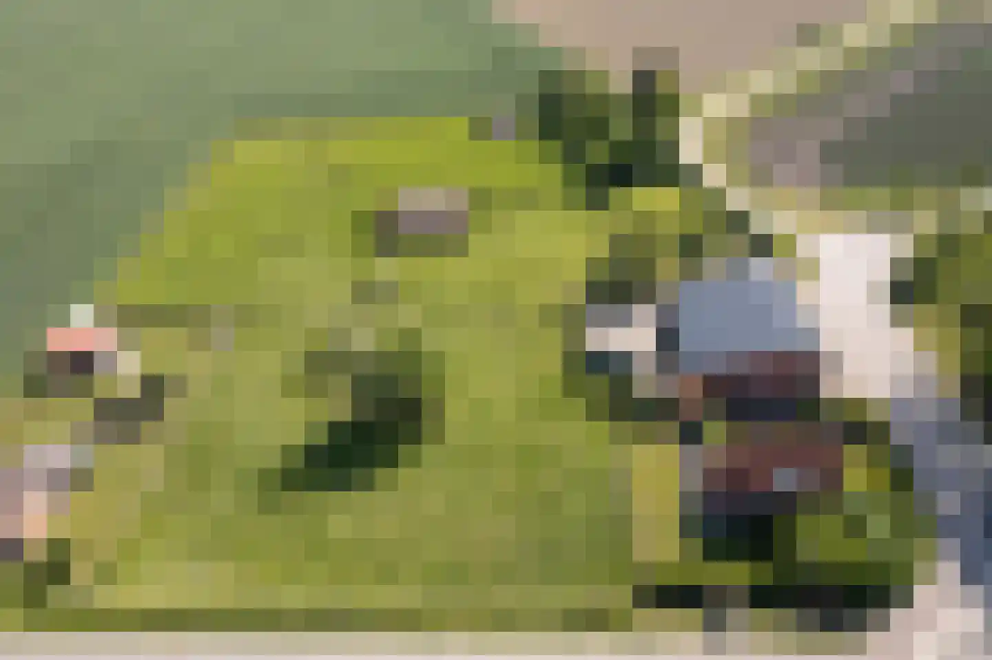Lampsinsdijk 1 Nieuwvliet thumbnail 8