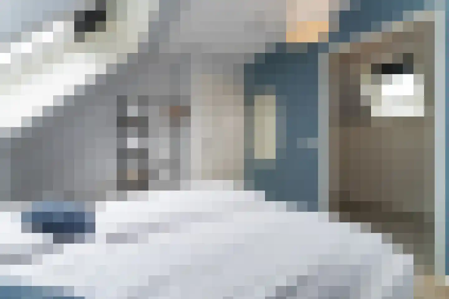 Lampsinsdijk 8 015 Nieuwvliet thumbnail 14