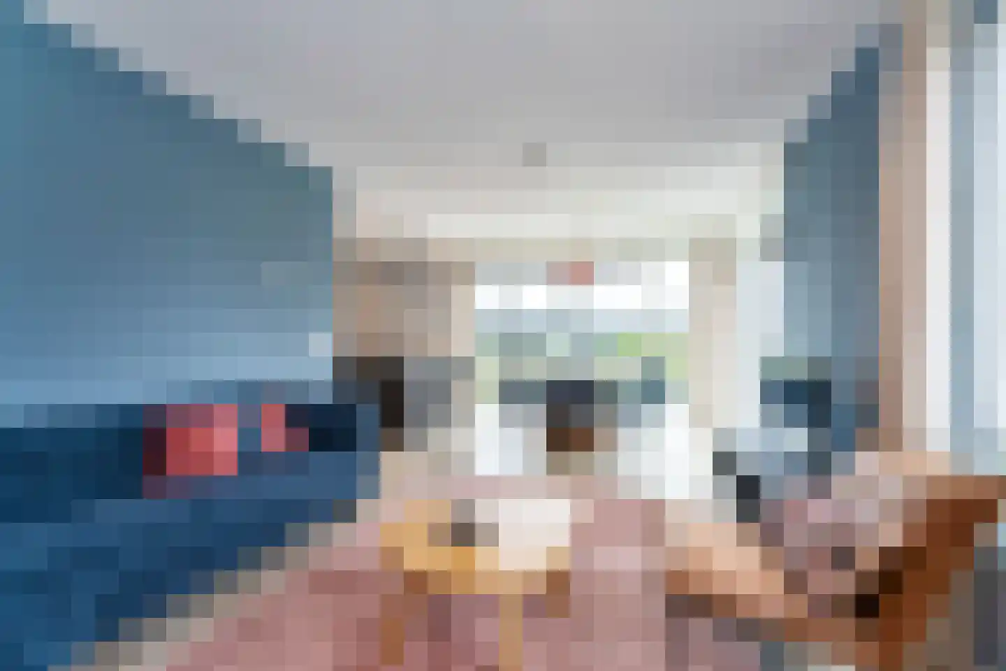 Lampsinsdijk 8 015 Nieuwvliet thumbnail 8