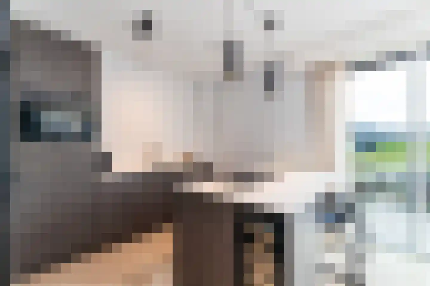 Lampsinsdijk 8 015 Nieuwvliet thumbnail 9