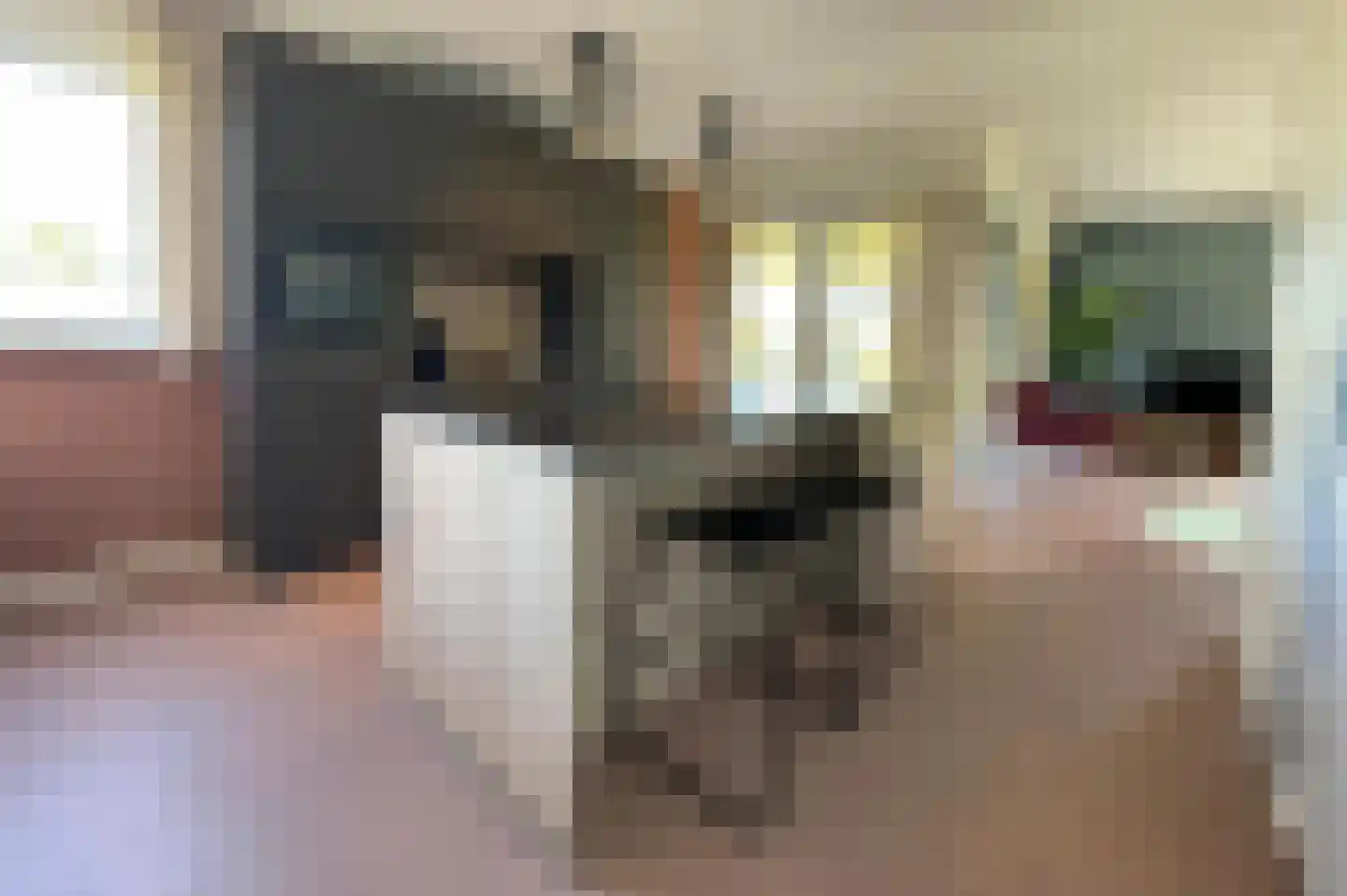 Lampsinsdijk 8 017 Nieuwvliet thumbnail 13