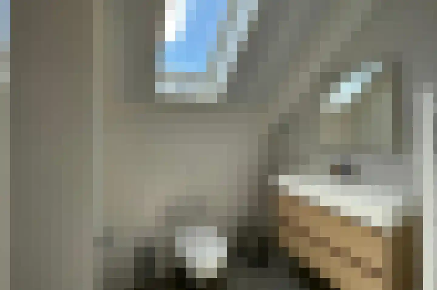 Lampsinsdijk 8 017 Nieuwvliet thumbnail 14