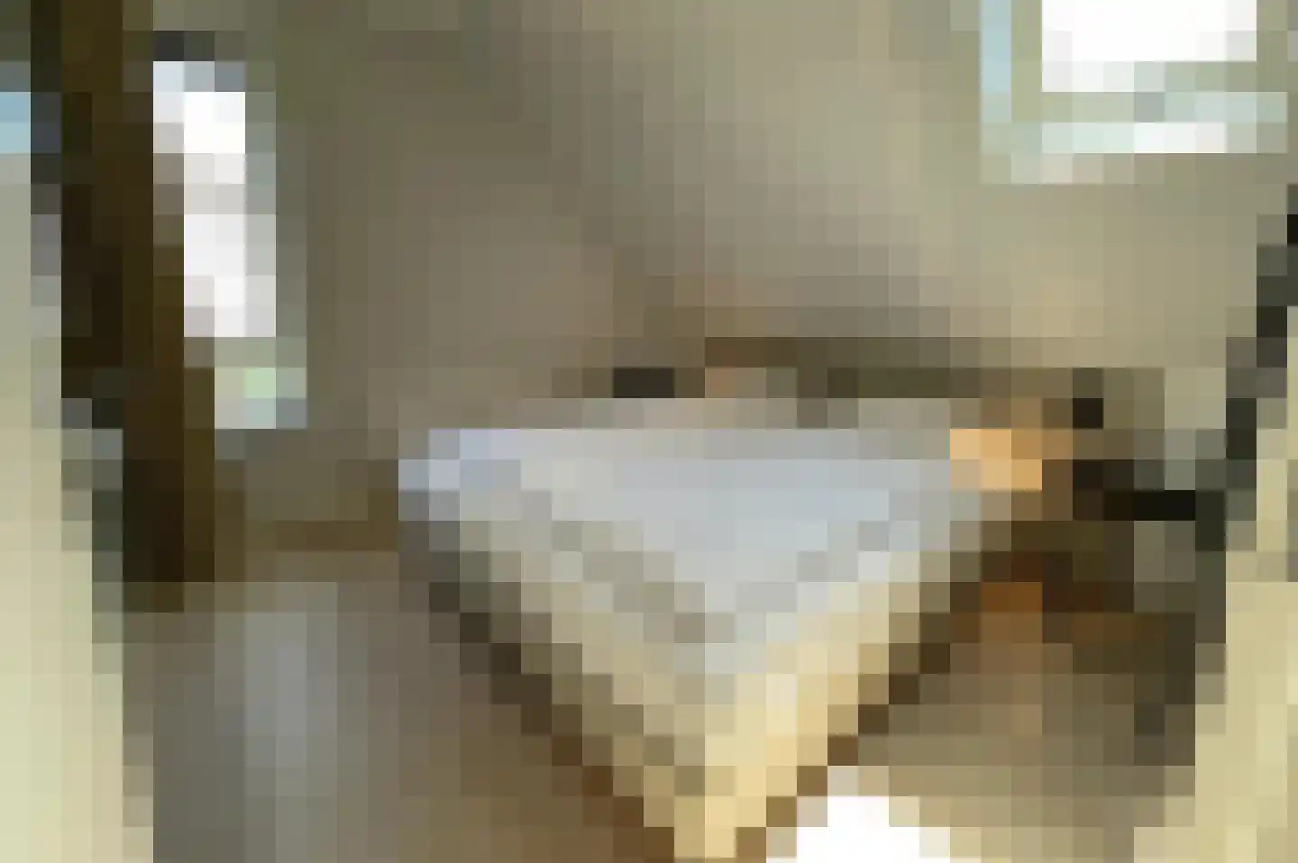Lampsinsdijk 8 017 Nieuwvliet thumbnail 15