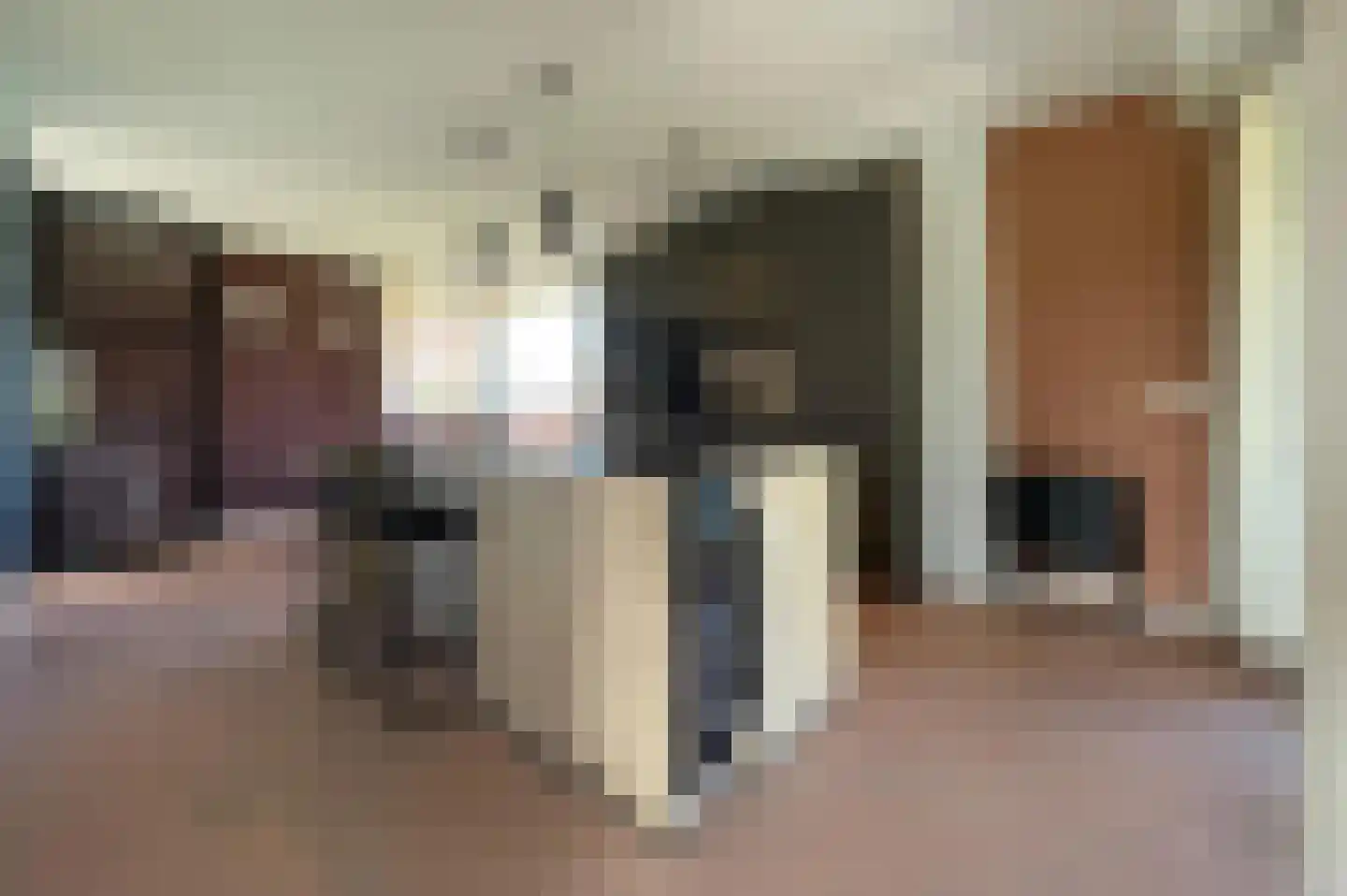 Lampsinsdijk 8 017 Nieuwvliet thumbnail 16