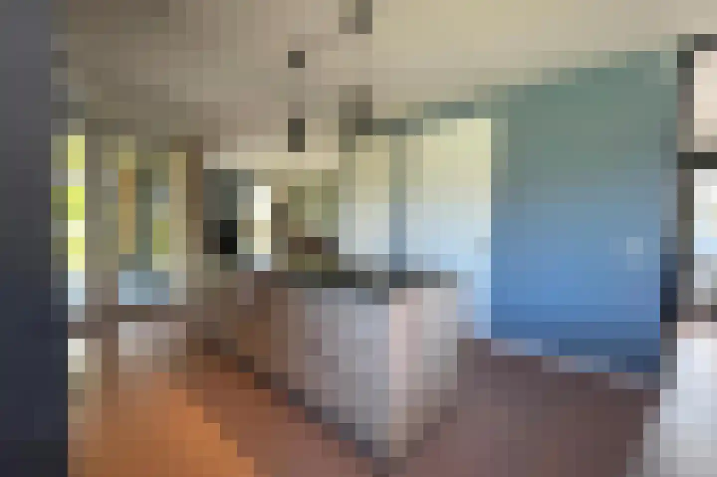 Lampsinsdijk 8 017 Nieuwvliet thumbnail 17