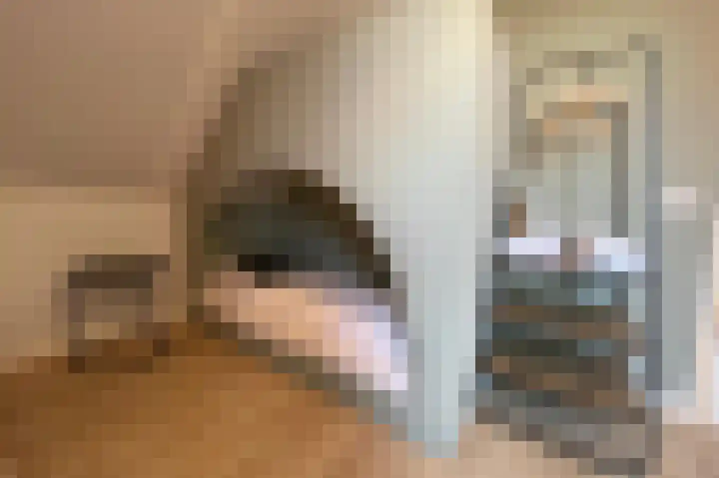 Lampsinsdijk 8 017 Nieuwvliet thumbnail 5