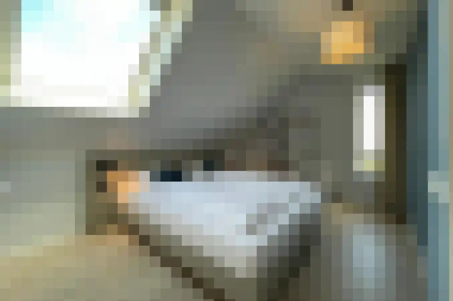 Lampsinsdijk 8 017 Nieuwvliet thumbnail 7