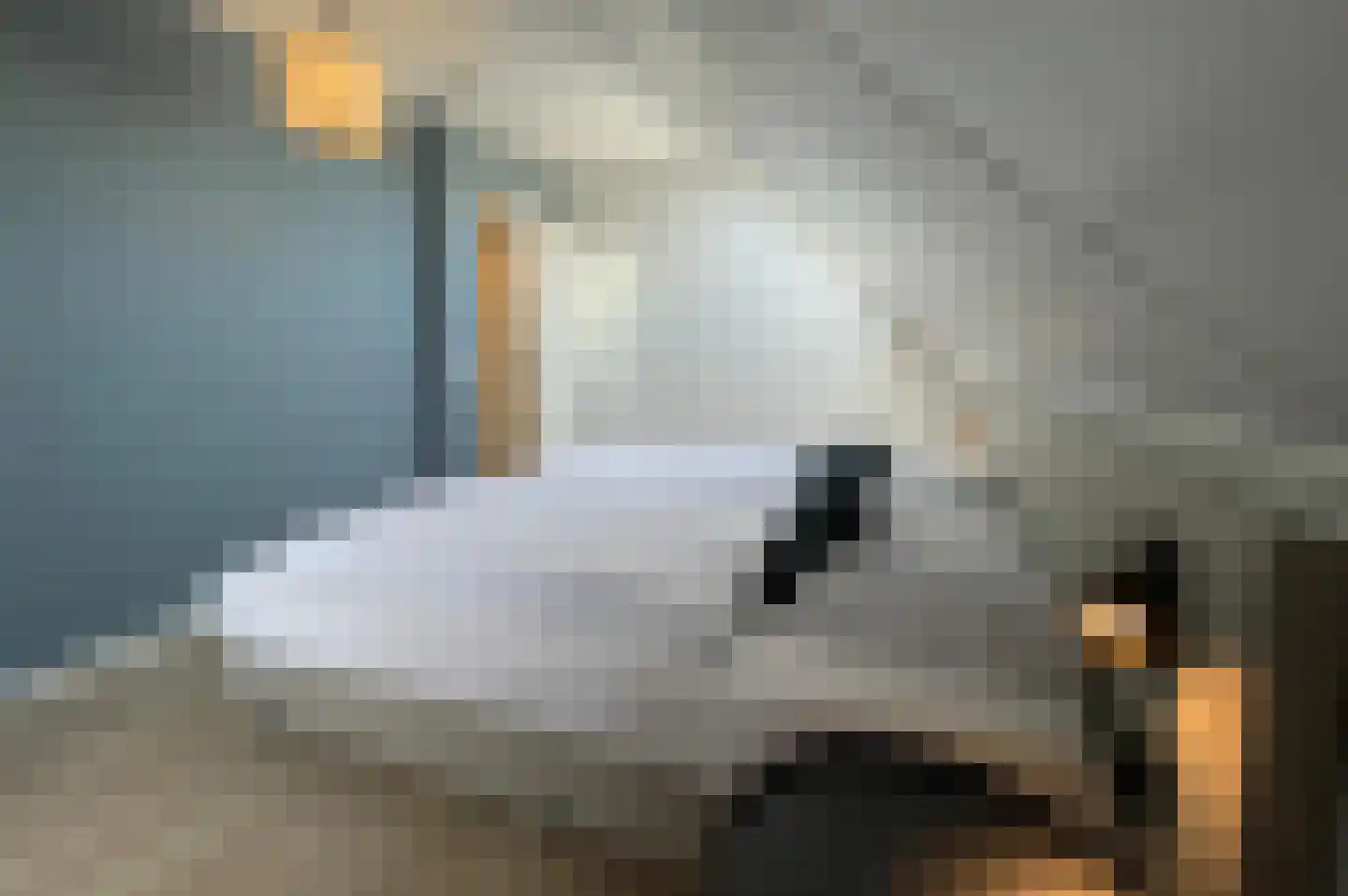 Lampsinsdijk 8 017 Nieuwvliet thumbnail 9