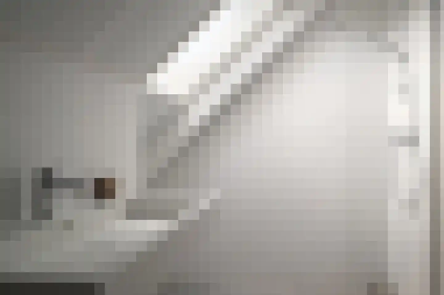 Lampsinsdijk 8 039 Nieuwvliet thumbnail 10