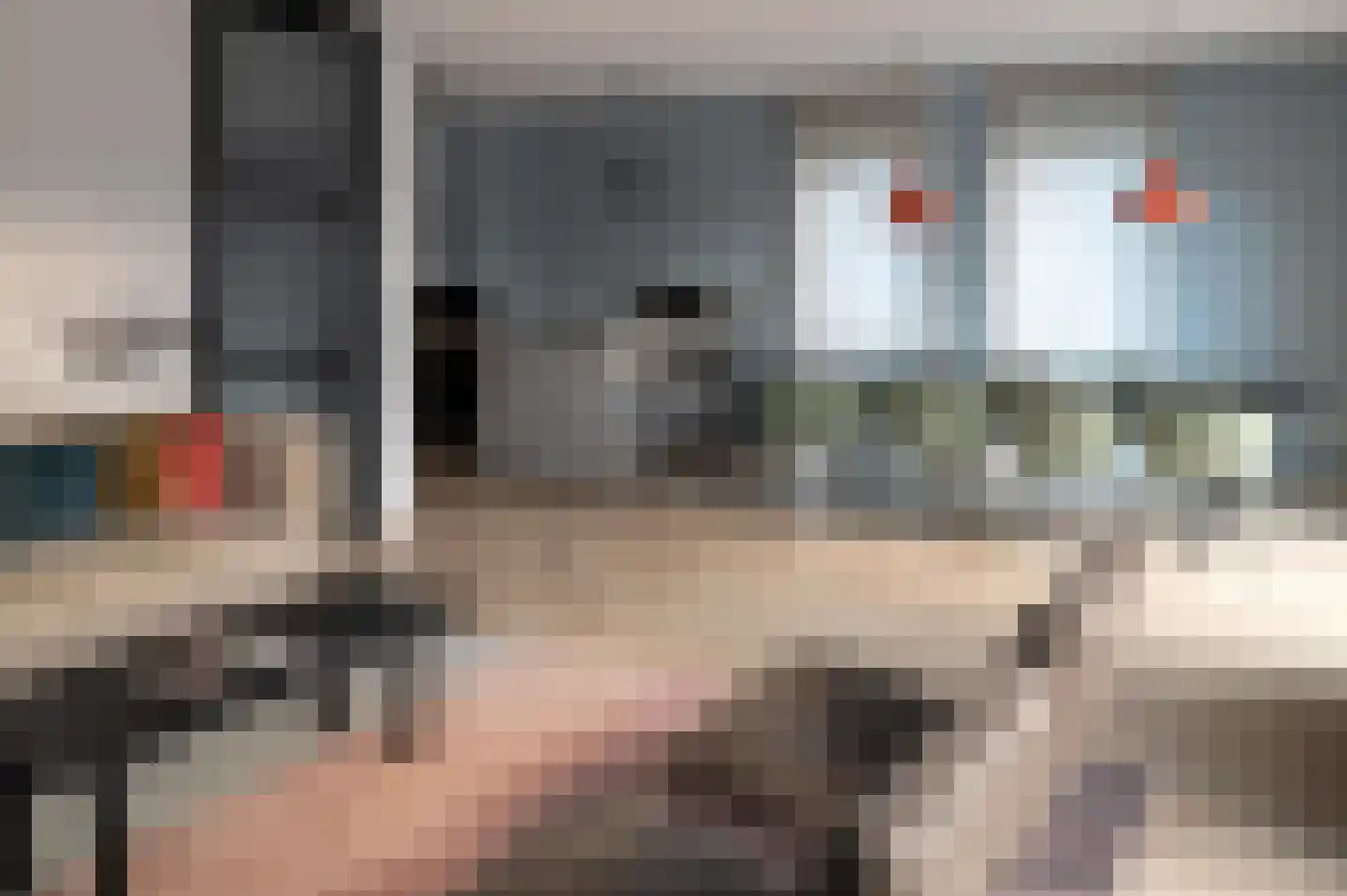 Lampsinsdijk 8 039 Nieuwvliet thumbnail 4