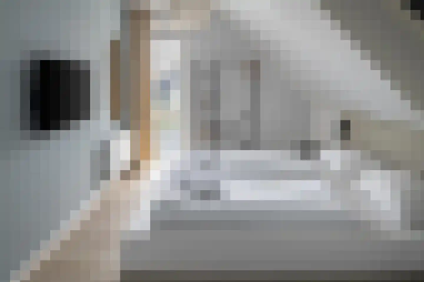 Lampsinsdijk 8 039 Nieuwvliet thumbnail 7
