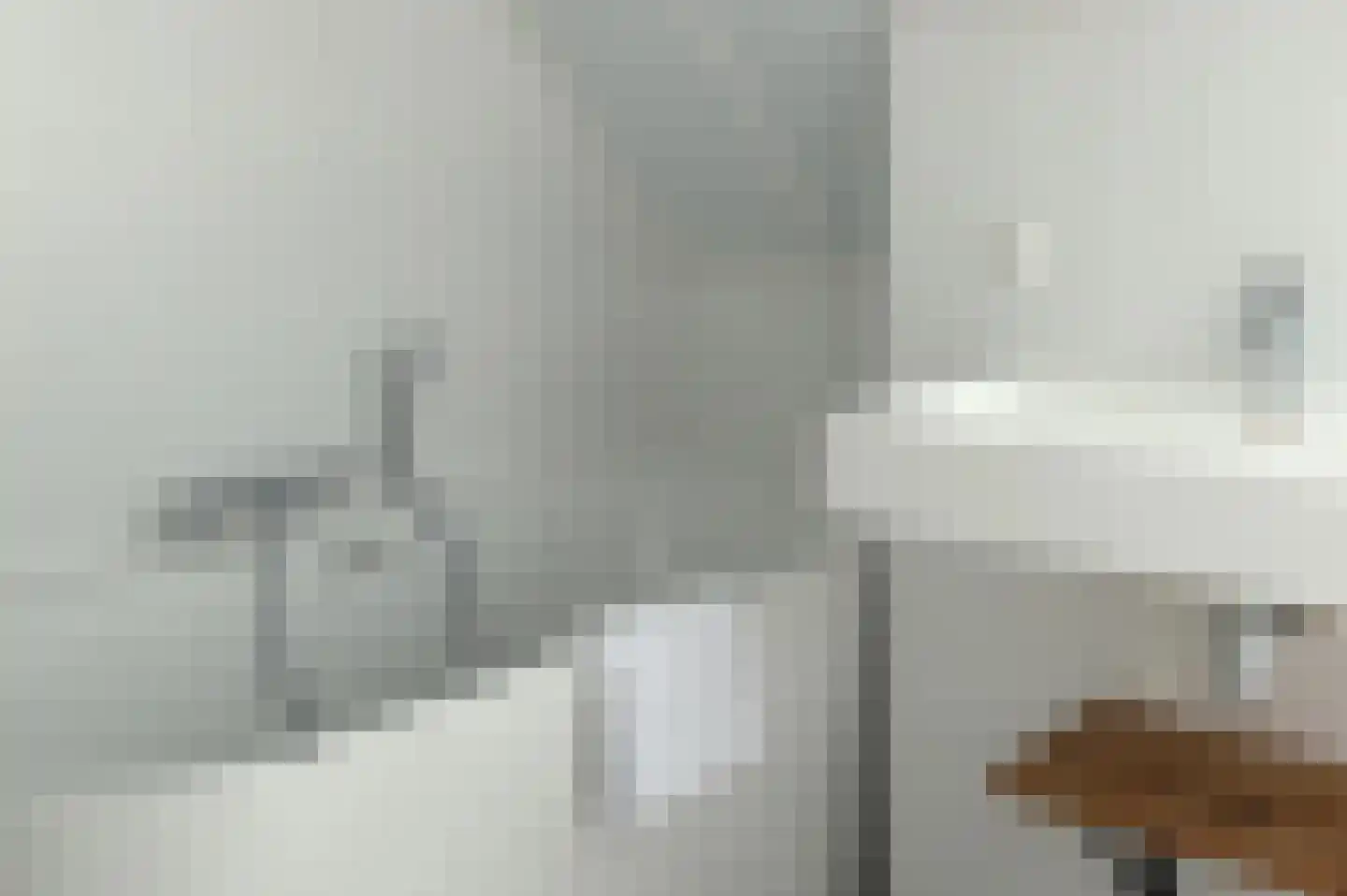 Lampsinsdijk 8 039 Nieuwvliet thumbnail 8